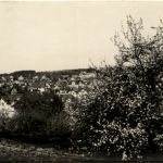 Flawil