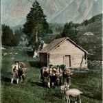 Gruss aus dem Toggenburg