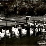 St. Gallen - Parkanlage