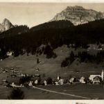 Wildhaus