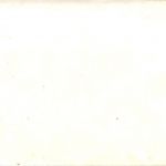 The Quicks with Musikus