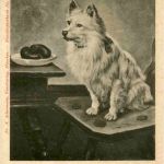 S. Sperlich - Tantalus - Ackermann Kunstverlag