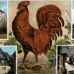 Arenberg - Hotel Roter Hahn