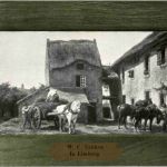Limburg