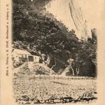 Gruss von der insel Rügen