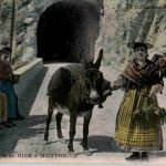 Route de Nice a Menton - Donkey