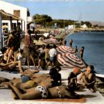 Hyeres le Palmiers