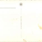 Zürichsee - Motorschiff Limmat