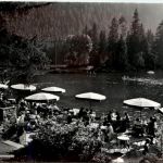 Flims