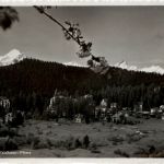 Waldhaus Flims