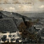 Albis - Gasthaus zum Hiurschen