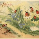 Pfingsten - Marienkäfer - Maikäfer