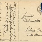 Pfingsten - Marienkäfer - Maikäfer