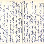 Pfingsten - Maikäfer