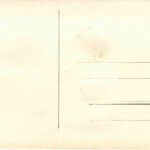 Marienkäfer - Kleeblatt