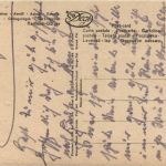 Rammelt Bürger - Asters - DEGI