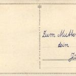Schmetterlinge