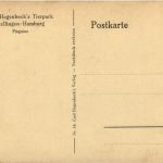 Pinguin- Carl Hagenbecks Tierpark Hamburg