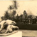 Dresden - Kakteenschau 1926