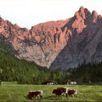 GEMIX - Pralinen Kakao