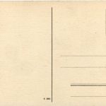 Hasen - sign. Willy Schermele