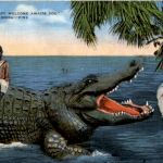Corocodile