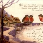 Vögel - Prägekarte