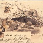 Landwirtschaft