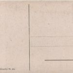 W. V. Krausz - Der Roman