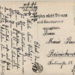 E. Zlamal - Liebeswerben