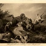 Schwein schlägt die Meute ab