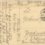 Schwein schlägt die Meute ab