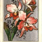 Blumen - Prägekarte