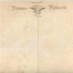 Hansi - Tom von Dreger