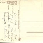 Goat Ziegen - Pro Infirmis