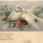 Tauben - Prägekarte