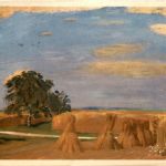 Pro Infirmis - Kornäcker bei Stadel