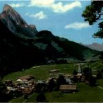Saanen