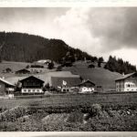 Saanen