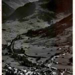Saanen