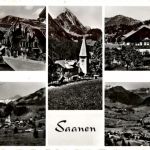 Saanen