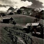 Bei Lenk