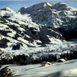 Lenk