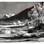 Wintermorgen im Engadin