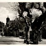 Coppet