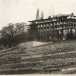Chexbres - La Colline