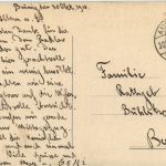 Aus der Alpenwelt - Kühe