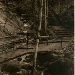 Waldschulcht bei Heiden