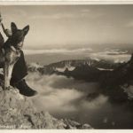 Säntis - Wetterwart Steier