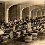 Moet et Chandon - Champagne